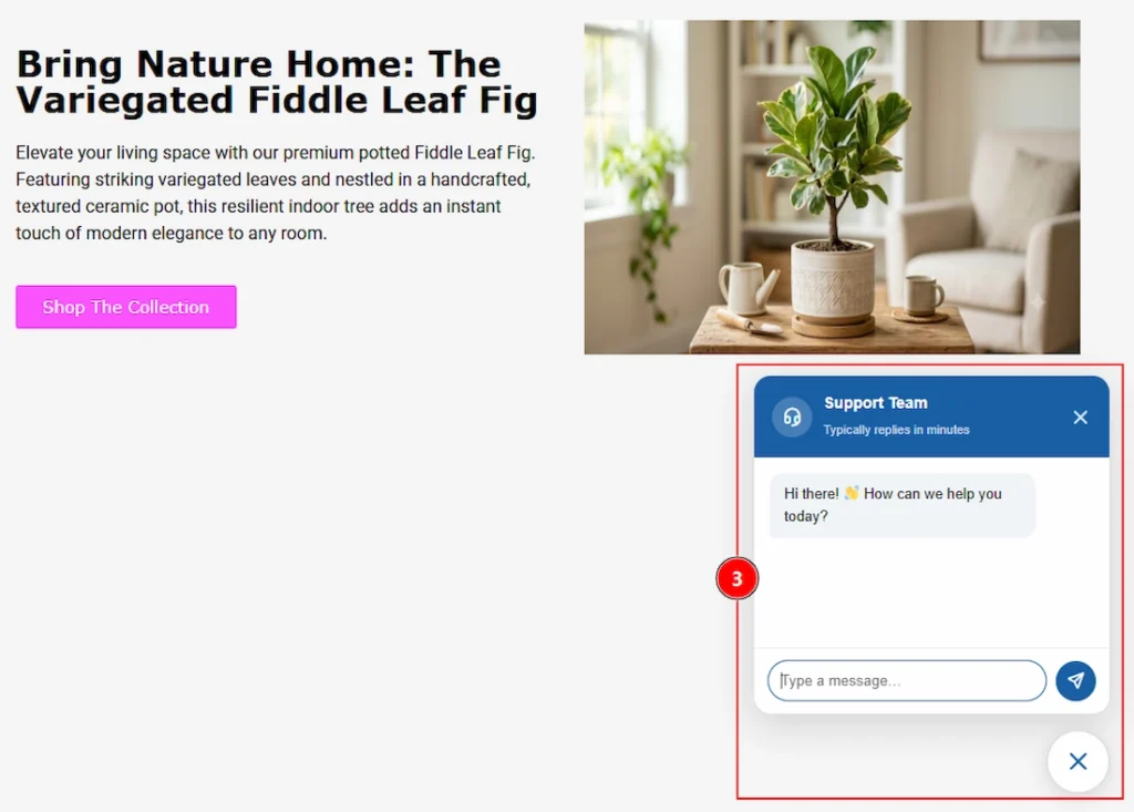 How To Use Custom CSS / Js Extension By Atomic Elements - Configuring the Custom CSS / Js Extension 03