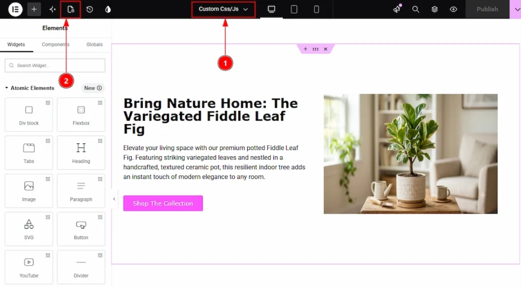How To Use Custom CSS / Js Extension By Atomic Elements - Place to Find the Custom CSS / Js Extension 01